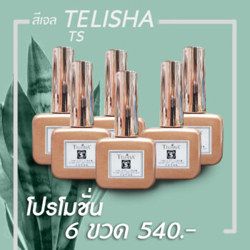 Promotion TS Crackle Nail Polish โปรฯ 6 ขวด