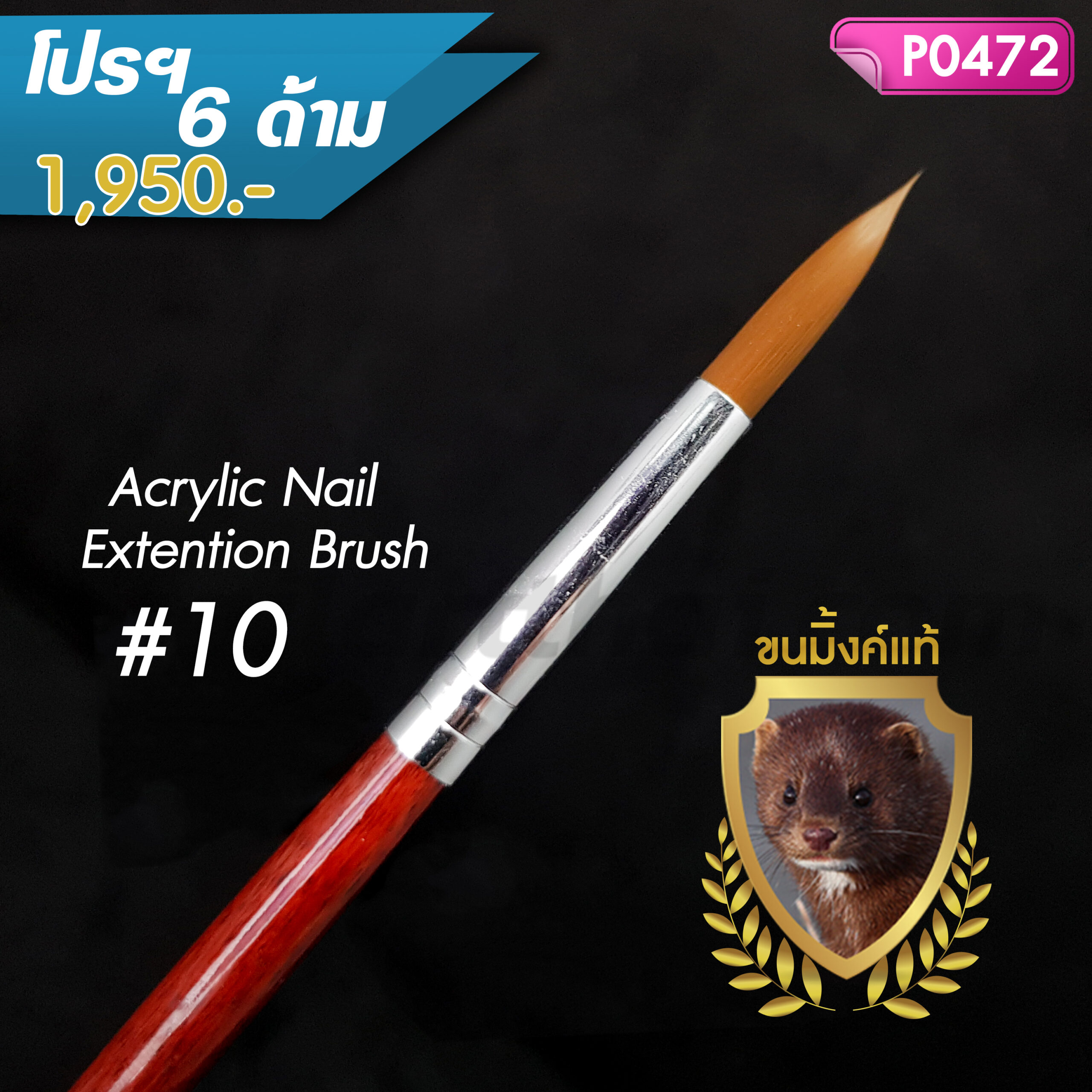 พู่กันต่อเล็บอะคริลิค เบอร์ 10 โปรฯ 6 ด้าม